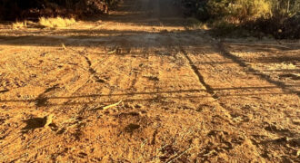 PARCELA COMERCIAL PLACILLA